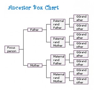 Ancestor Box Chart LR