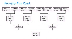 Ancestor Box Chart up